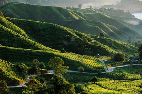 Top Most Beautiful Places To Visit In Malaysia Globalgrasshopper