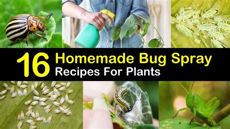 Do It Yourself Mosquito Repellent For Yard Diy Homemade Insect