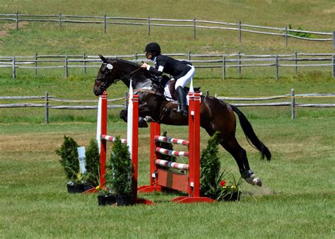Whats In Your Ring Presented By Attwood Jumping Indoors With Babette Lenna Eventing Nation