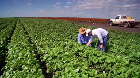 Queensland Agriculture Opportunities For Growth Youtube