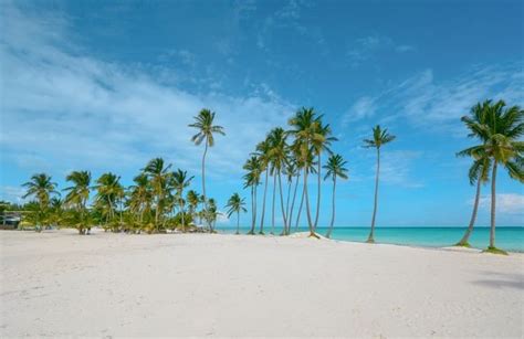 Top 10 Best Beaches In The Dominican Republic Beach Most Beautiful
