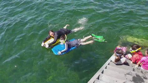 국제커플 상어가 우글거리는 바다에서 수영하는 사람들 남호주 Streaky Bay Youtube