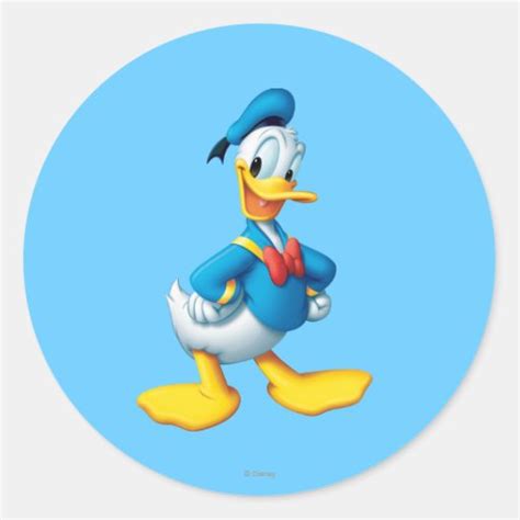 Donald Duck Pose 4 Classic Round Sticker Zazzle