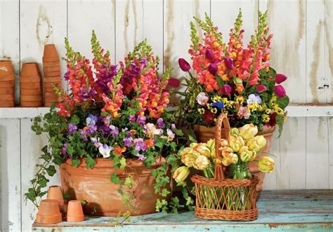 Creating A Colorful Rooftop Flower Garden Design Tips And Plant
