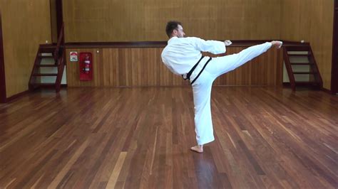 Hwa Rang Brown Belt Pattern Jinhwa Taekwondo Youtube