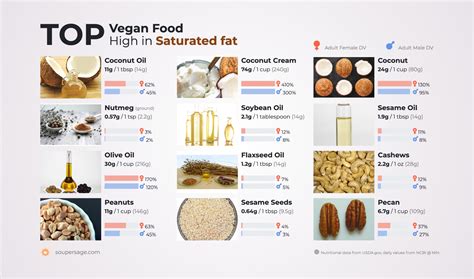 Top Vegan Food High In Saturated Fat