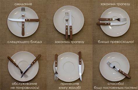 Диета по тарелке правильное
