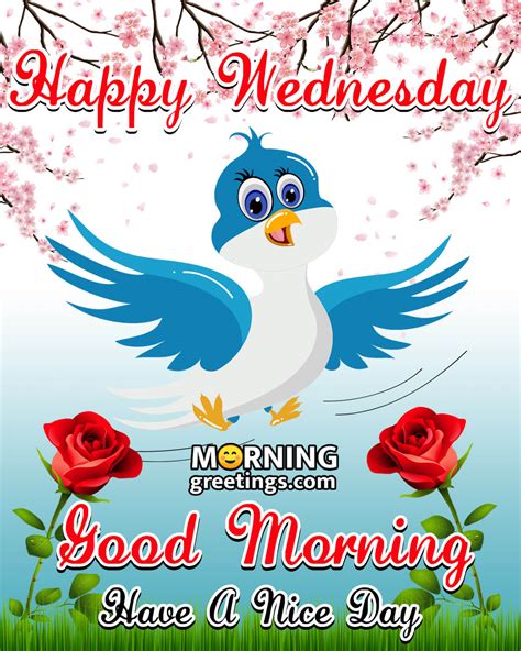 Today's posts are based on good morning wednesday wishes. 50 Good Morning Happy Wednesday Images - Morning Greetings ...
