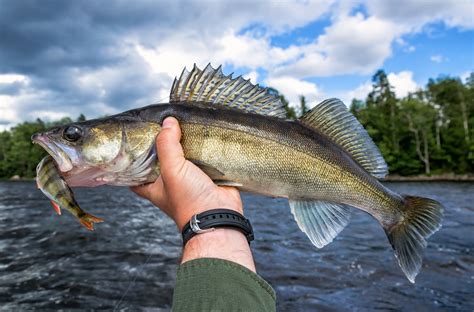 Read All About Why Lake Erie Should Be Your Next Destination For