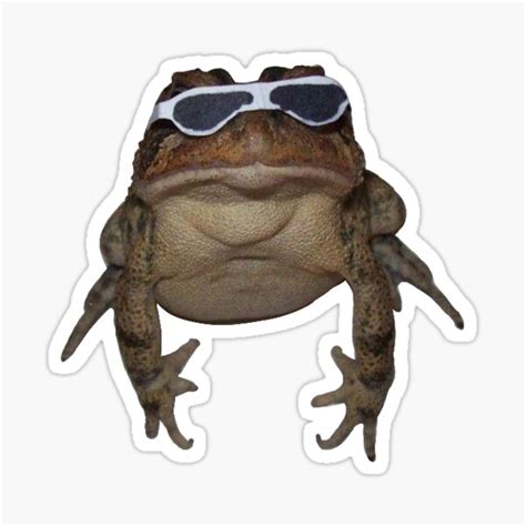 Frog With Sunglasses Sticker For Sale By Cfsev Redbubble