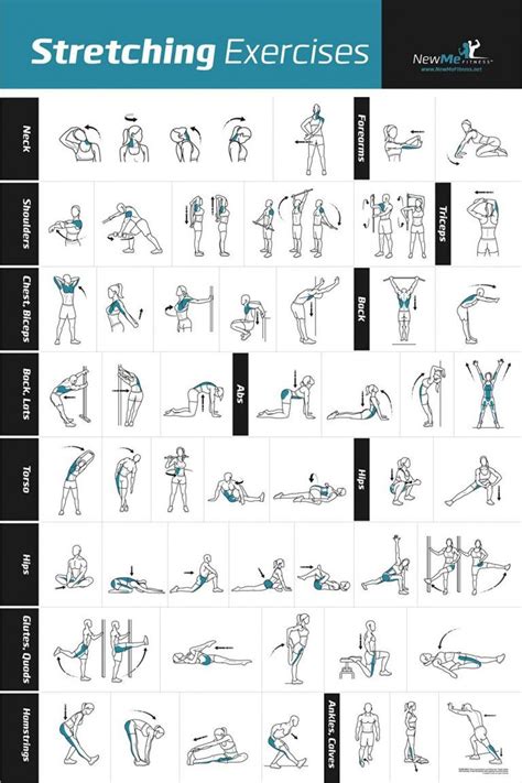 Stretching Exercise Poster Laminated Shows How To Stretch Specific