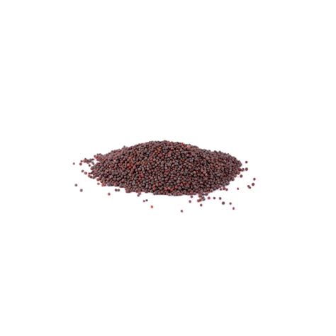 Bsc Mustard Seed Whole Brown 250g 500g The Food Prep Group