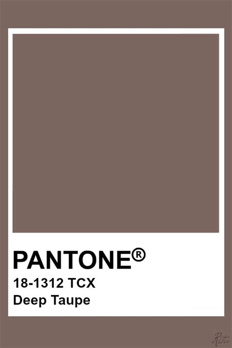 Pantone Deep Taupe Pantone Swatches Pantone Color Pantone Colour
