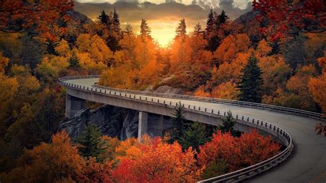 Trees Forests Autumn Roads Nature Hd Wallpaper Rare Gallery