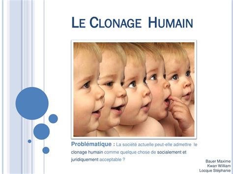 Ppt Le Clonage Humain Powerpoint Presentation Free Download Id5661759