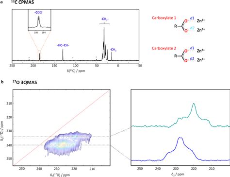 A 13 C Cpmas Nmr Spectrum Of 17 O Labeled Zn Oleate B 0 141 T ν