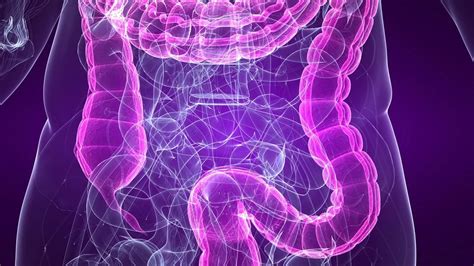 Leaky Gut Syndrome Causes Symptoms Diagnosis And Prevention