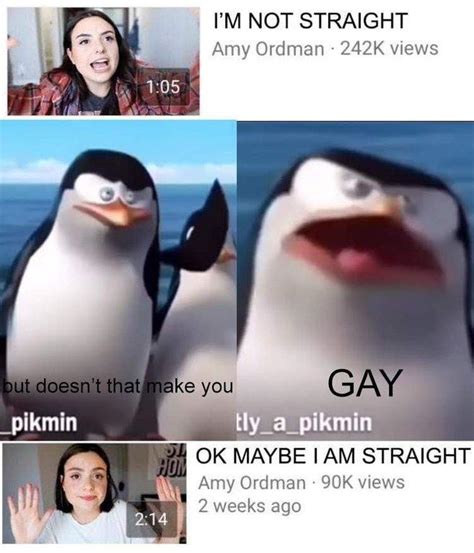 Why Im Not Gay Meme Tonepolre