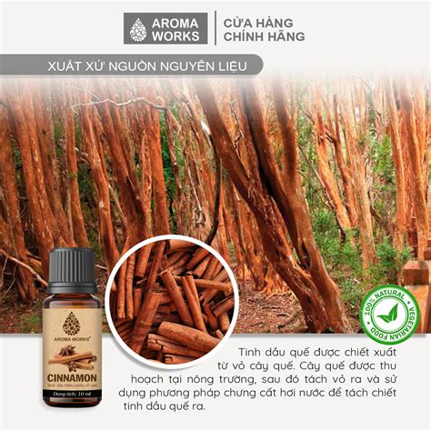Tinh Dầu Thiên Nhiên Vỏ Quế Aroma Works Essential Oil Cinnamon Oilmart