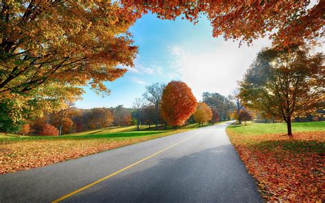 Autumn Desktop Wallpaper ·① Download Free Stunning Full Hd Wallpapers