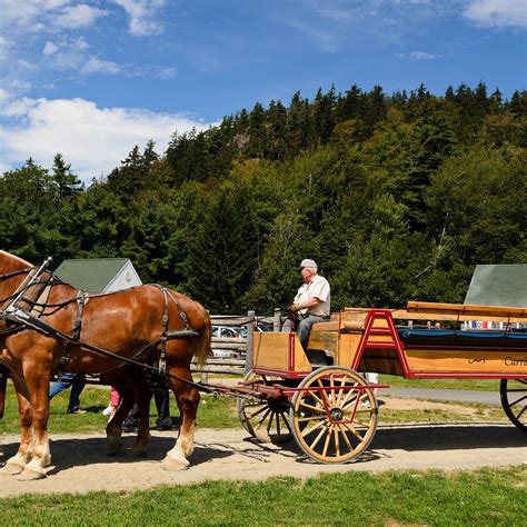 Carriages Of Acadia Acadia National Park 2023 What To Know Before