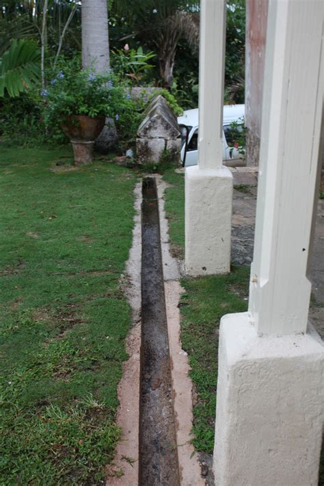 Bugs, birds, rodents, and other critters often find their way into gutters and make themselves. The Runcible Architect.: Ground gutters.