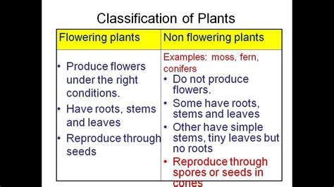 Science and technology by vs.iswari smkbb ppki. KSSM 2018 Science Form 2 Chapter 1 1.2 Part 2 - YouTube