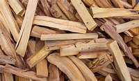 Palo Santo (Holy Wood) - Is It Endangered? - The Crystal Council