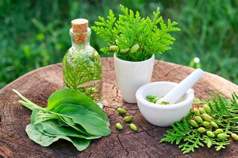 3 Benefits Of Herbal Medicine You May Not Already Know About