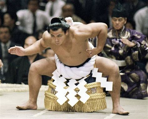How To Watch Sumo Training Session In Tokyo Artofit
