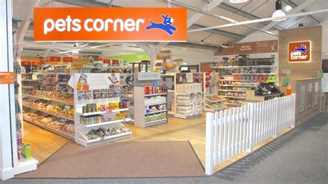Pets Corner Bury St Edmunds Your Best Reviewed Local Pet Shop