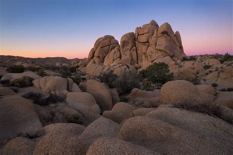 Joshua Tree National Park Tortured Trees And Gobs Of Granite — Nature