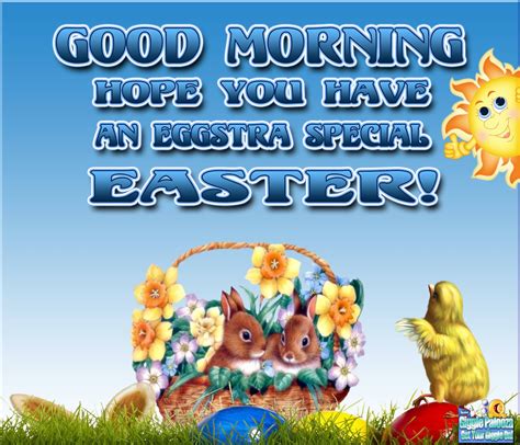 Hope You Have An Eggstra Special Easter Pictures Photos And Images