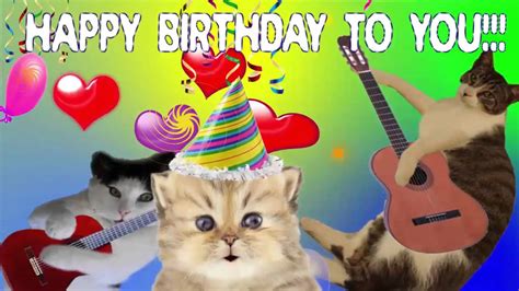 Happy Birthday To You Song By Cute Singing Cats Youtube