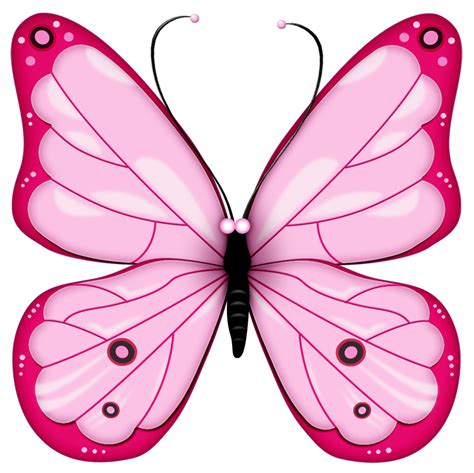 Butterfly Free Clip Art Free Large Images