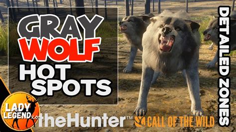 All New Gray Wolf Hotspots In Yukon Since The Update Call Of The
