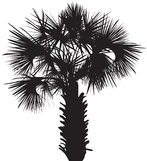 Download High Quality Tree Clipart Palmetto Transparent Png Images