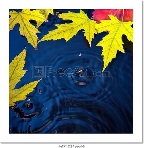 Free Art Print Of Abstract Autumn Background With Leaves Free Art