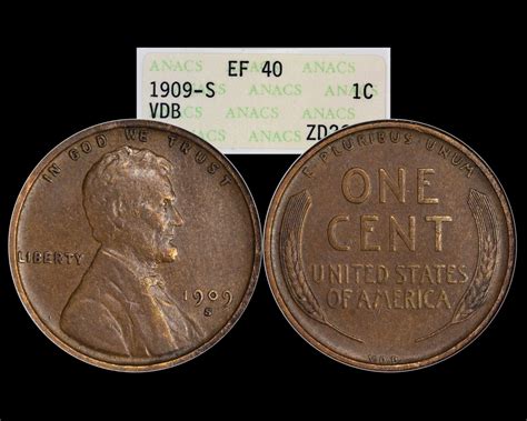 1909 S Vdb 1c Lincoln Wheat Cent Anacs Xf40 Old White Holder The