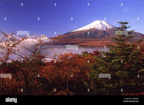 Mount Fuji With Fall Color Japan Stock Photo Alamy