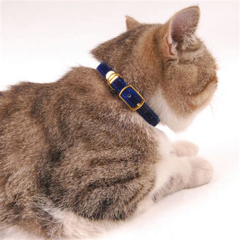 High Quality Designer Cat Collar Metal Hardware Gold Tip Soft Safe
