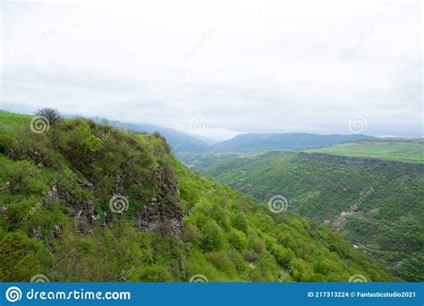 Forest On The Slope Of The Cliff Stock Photo Image Of Beautiful