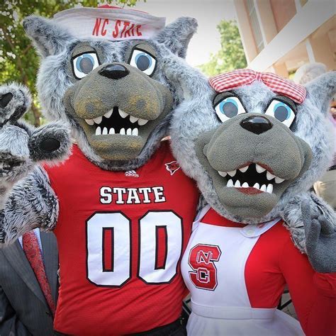 Cutest College Mascots Nc State Wolfpack Mascot Nc State
