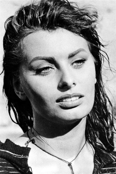 Estilo sophia loren sophia loren style vintage hollywood. Sophia Loren photo gallery - page #2 | Celebs-Place.com