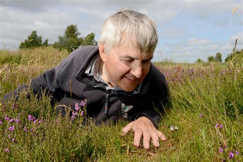 Prees Reserves Silver Studded Blue Bucks The Butterfly Trend