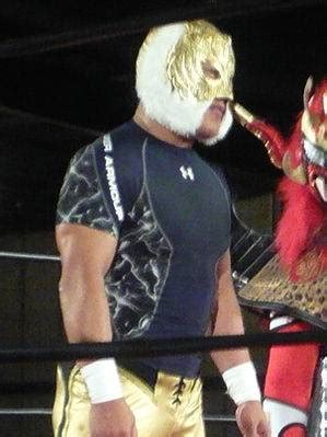 Tiger Mask Iv Age Birthday Biography Facts Howold Co