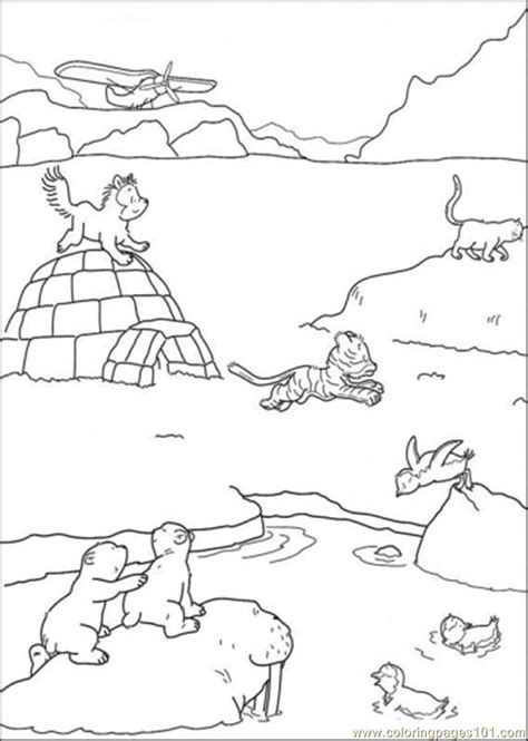 Arctic Habitat Coloring Pages Animal Coloring Pages