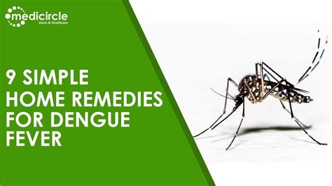9 simple home remedies for dengue fever