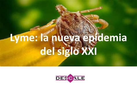La Enfermedad De Lyme La Nueva Epidemia Del Siglo Xxi Descale
