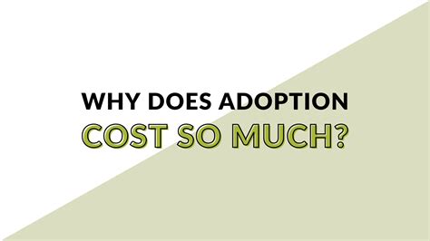 Why Does Adoption Cost So Much Both Hands